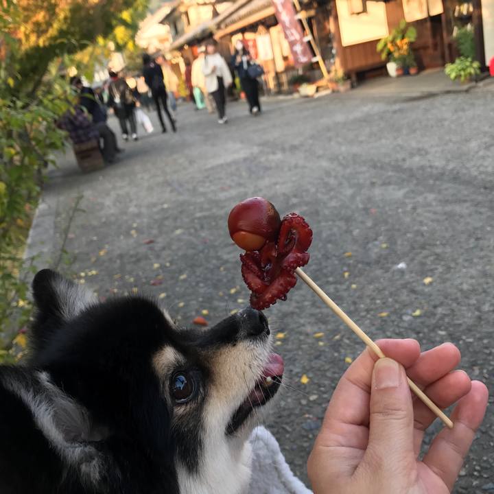 0739449c 4def 448f b23a 3da1a0aa9c2a 1542383675107