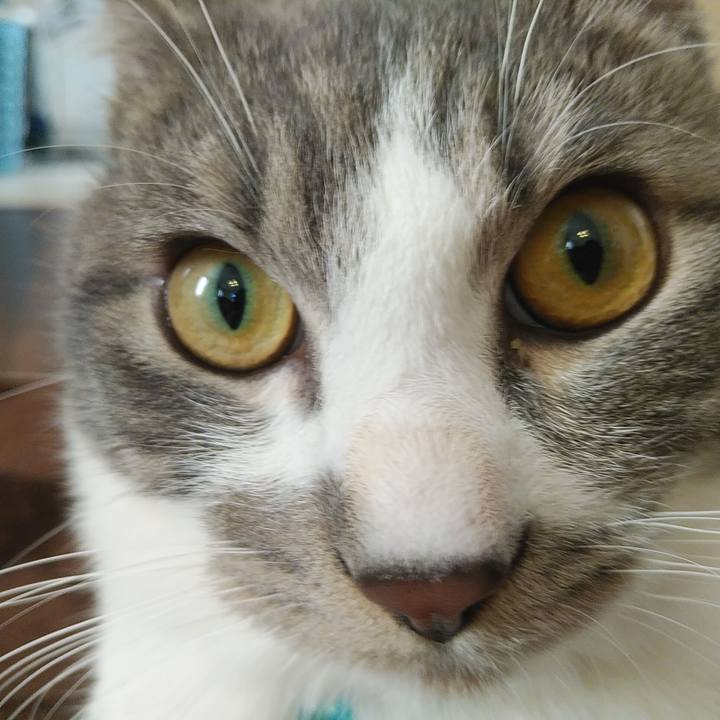 07395a73 ca6d 4e2e 89fe be86fc58621a 1578032603900