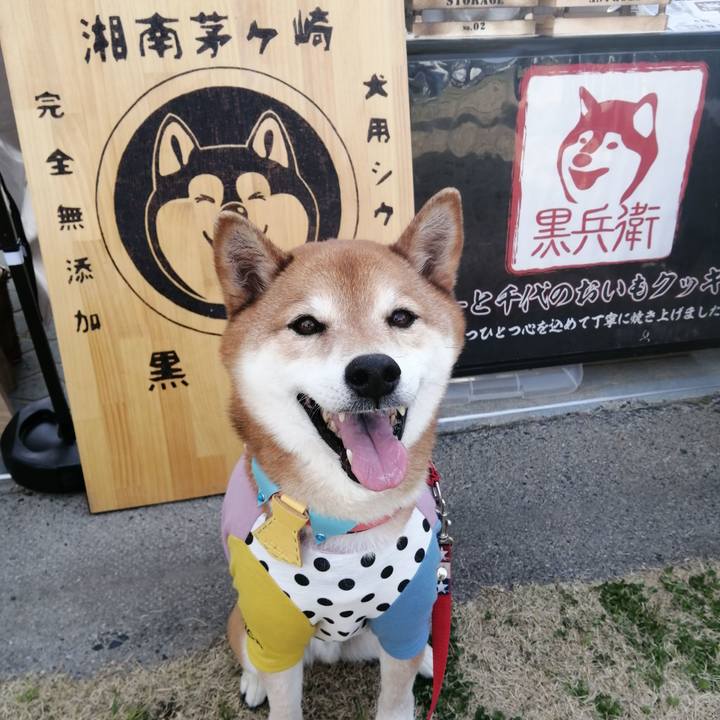 07397321 7215 41a3 b4c8 4790b478bb8a 1678854630620