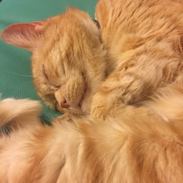 0739743c 201e 4560 97ce c92c11978d0a 1559825433744