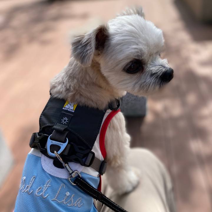 07398649 6cc9 468b 9eb2 b3daaa328860 1571556517653