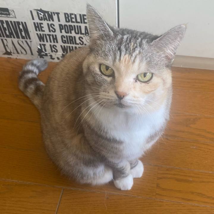 0739ad9b c71c 45cb 8c74 2fbee9a048a2 1702089518249