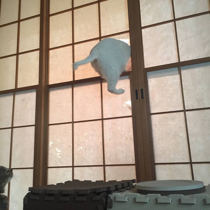 0739b453 6070 4560 8352 44474f419952 1550963955551