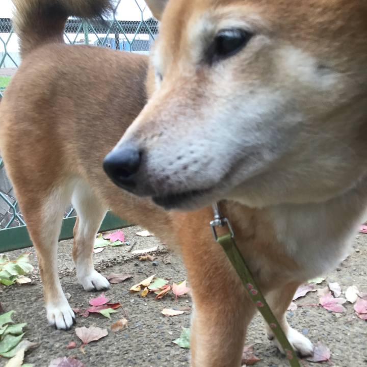 0739e64f 1b3d 4421 8d95 66345c82c02b 1574915623227