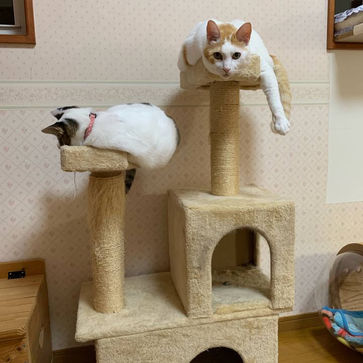 0739f7aa aca7 48c0 b62c cfb1ec08e85d 1634763229163