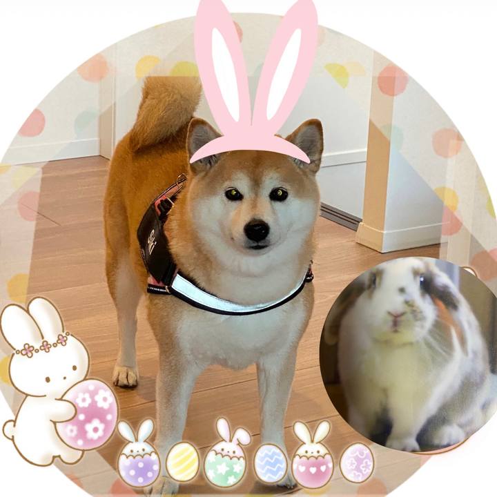 073a04ce d6a6 475d a30d 46eca1a979d7 1650197252203