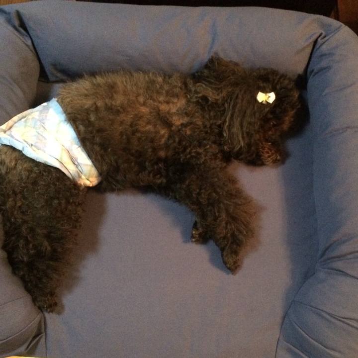 073a06f5 29c4 41b0 86bc 85ef66df57e6 1536968202154