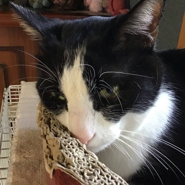 073a0987 5c1e 4a36 b337 6ec078e514d4 1744884427480