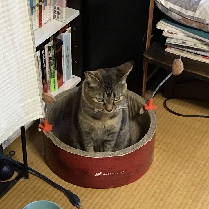 073a183b fe2e 4cc5 9247 f01c0f172098 1650616245377