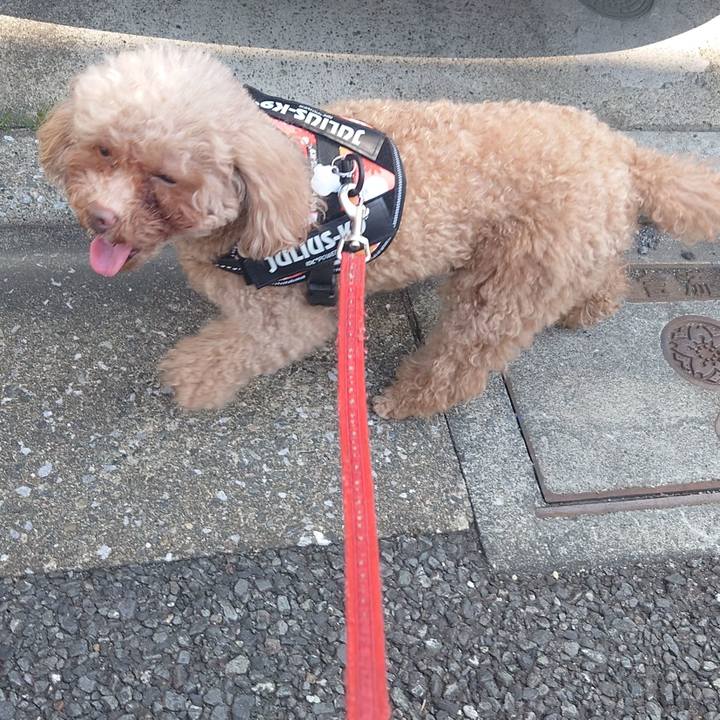 073a64c6 2587 4466 b453 b097d7ea2831 1742634983599