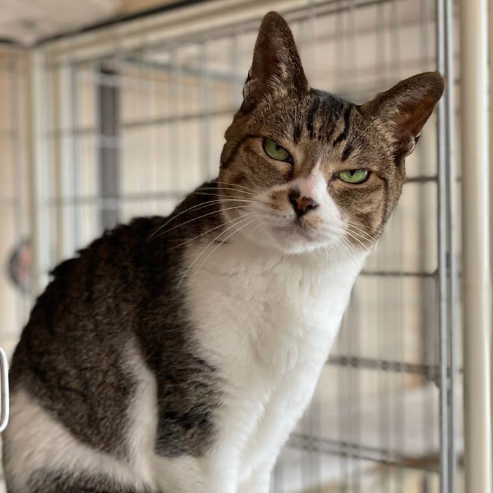 073a901a d7b4 42e6 b0ee 37432196fbdd 1616378261123