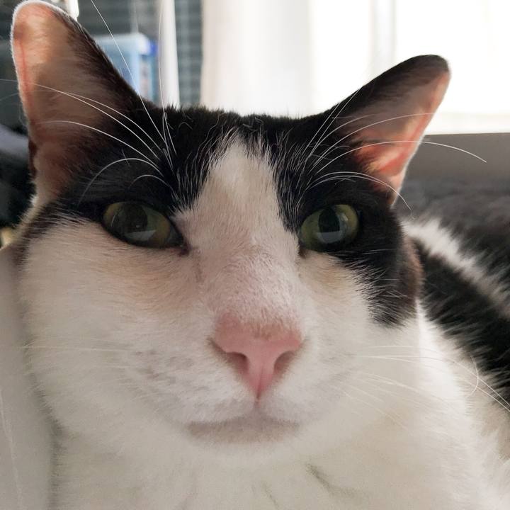 073a9cf2 1624 42f5 847b 3154c0ad6bdf 1532391611731