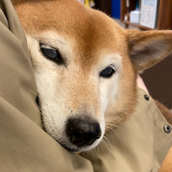 073ab2ed 2f43 456f 92f6 7f15b40cd465 1682339995604