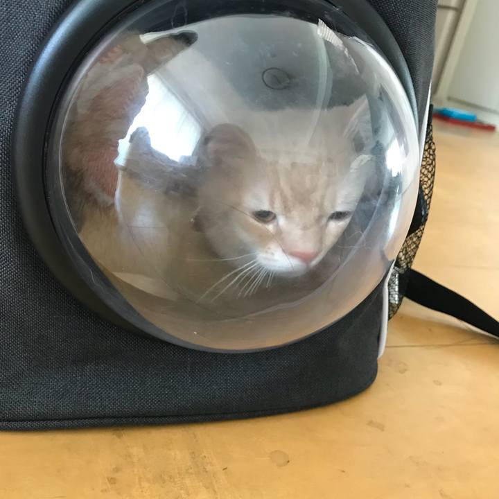 073ac606 3910 4511 91b0 4a93157ad4fa 1525008265082