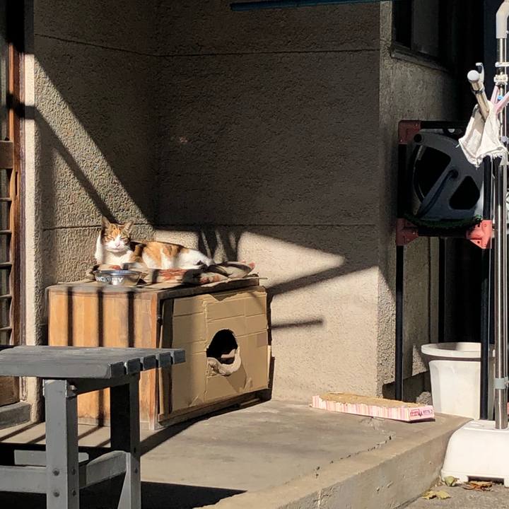 073acd28 3ea7 4f40 b9ce a600453e0eba 1612105926729