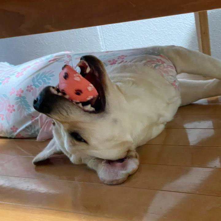 073b1a9f e6f3 4367 9b52 a2558bef5eb8 1632478732554