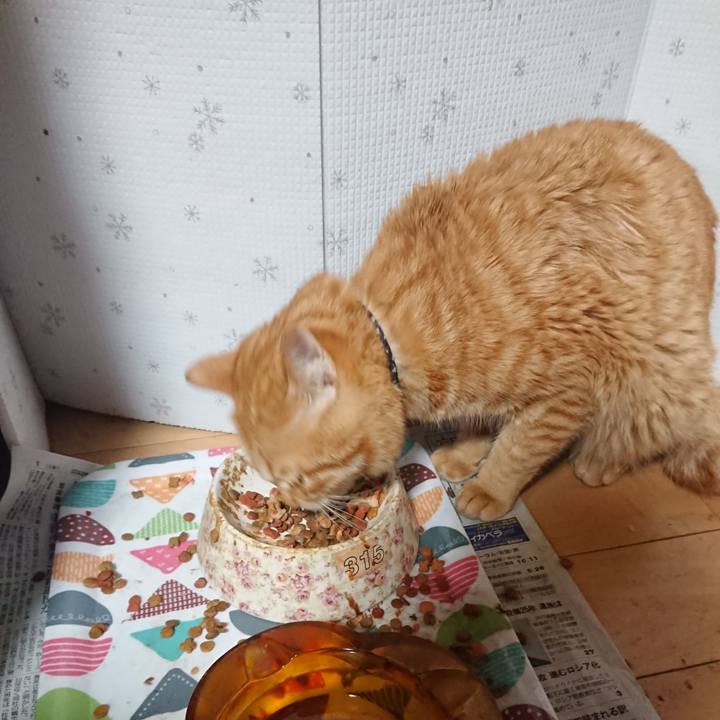 073b366b 733a 4c97 901e d09c1acf06e8 1654346263989