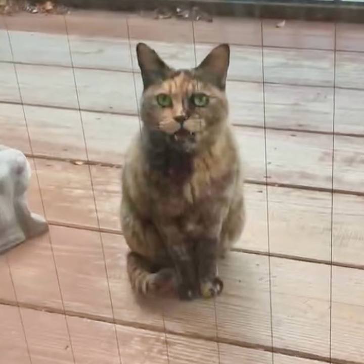 073b381f 0f59 4295 9d0e e87177f47875 1745754178593