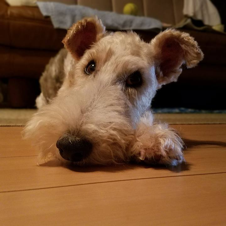 073b3879 bf54 4a30 b500 ed9b9e04e1d2 1614955864195