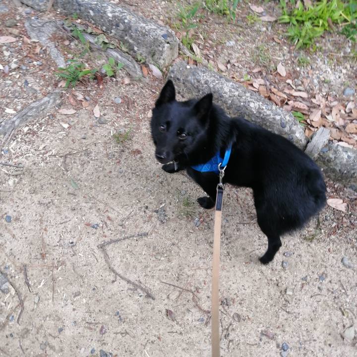 073b4d83 ac1a 40ad b30b 8c52b598bccc 1620944626913