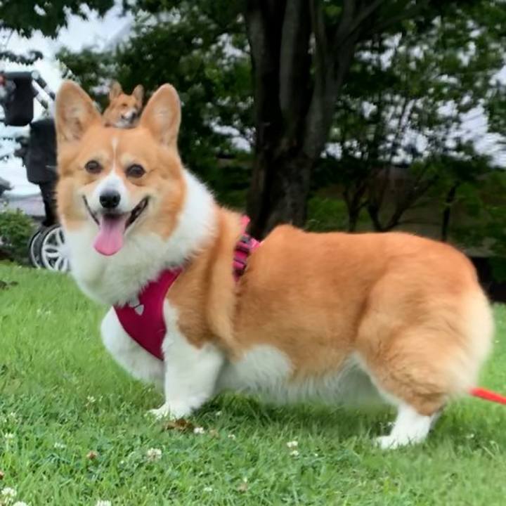 073b9a14 6f77 4001 903f 0e78355a5be8 1624155090126