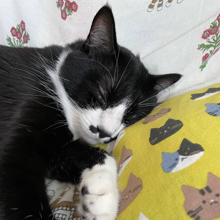 073b9cfa 8c16 48f6 87cd 35e0415063c3 1653973231729