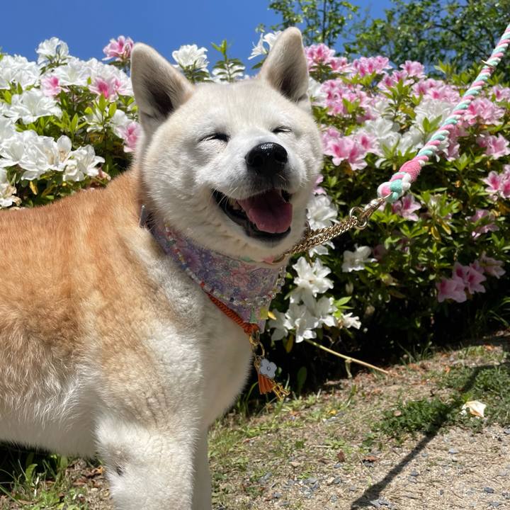 073bd533 d718 4256 a2dd e705c1e006ce 1682131590861