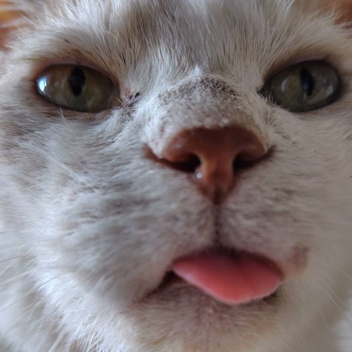 073c2cee ec7a 4ccb a29b af08acdb65d9 1755569096924