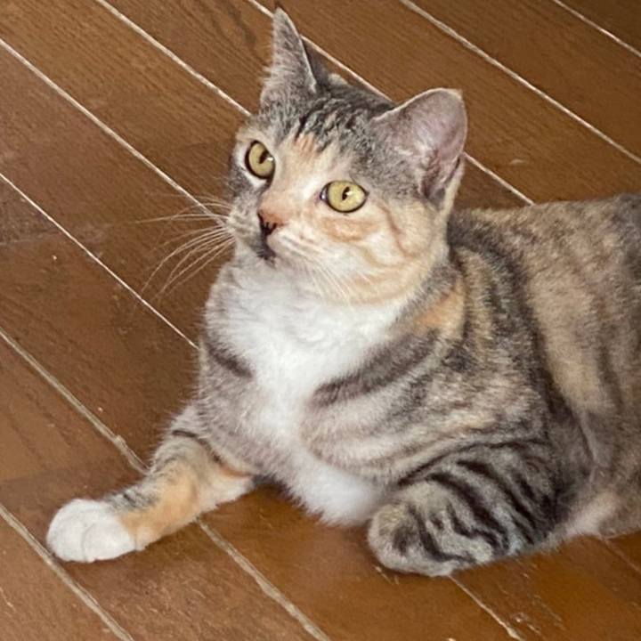 073c3bd3 1ed3 4023 92fe eb9799c2f9ee 1620662977081