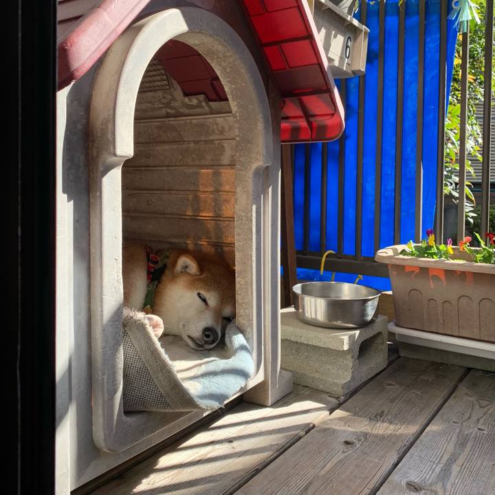 073c5080 8185 46ff b69a 03375d8e6a98 1605427680641