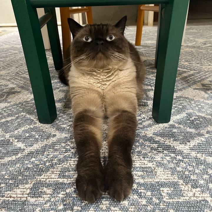 073c5a65 e1d4 4644 a5a4 2c2190c4c3f3 1660356902512