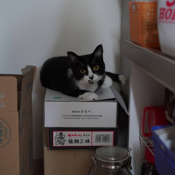 073c7ece 3f60 47ee 880b 053d7e641c90 1631629517877