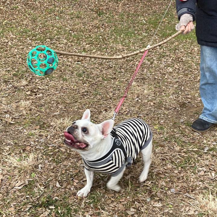 073ca419 5ea5 47be b445 213b74f696c1 1740524362219