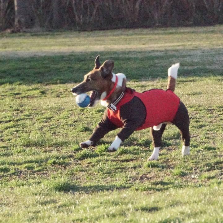 073cb912 141f 48e4 99a6 924e46928622 1552085814832