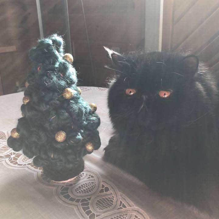 073cc515 2de9 465e bdb2 aa0682cc61f6 1543108907330