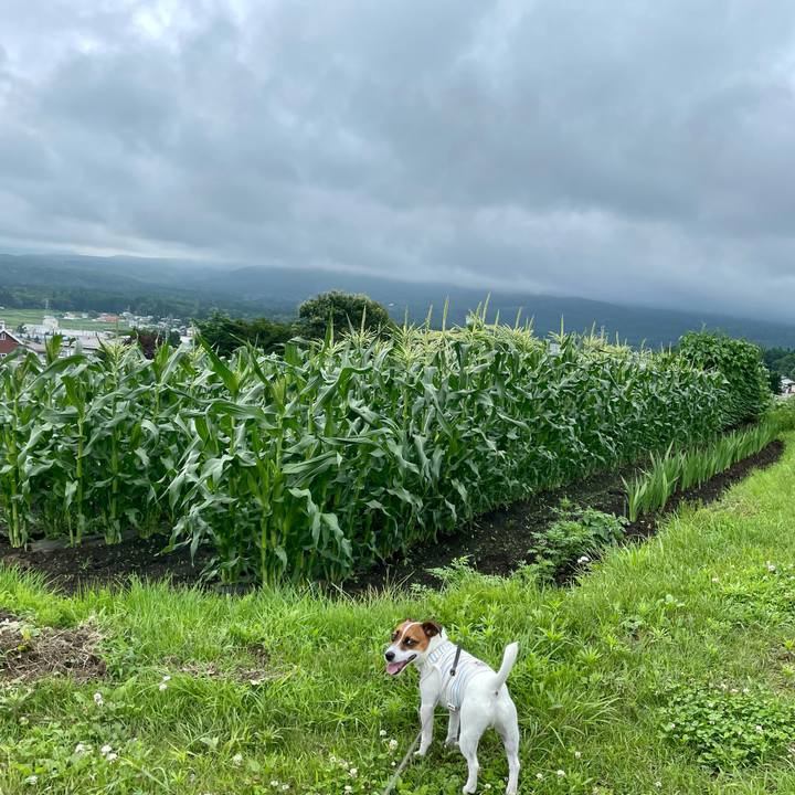 073d5e71 1ce4 4434 a79b feba846c4752 1625640367804