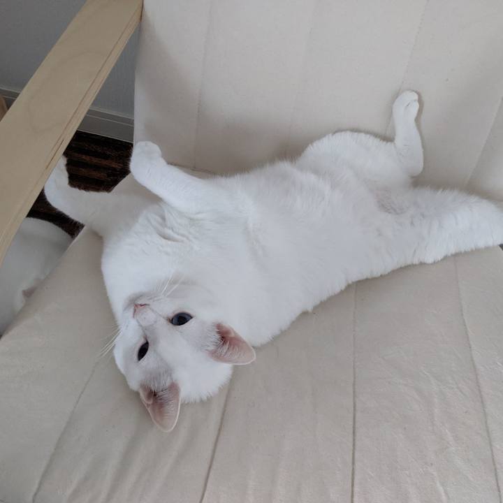 073d63fa 9107 4e58 a526 50fdc676e1de 1560982877623