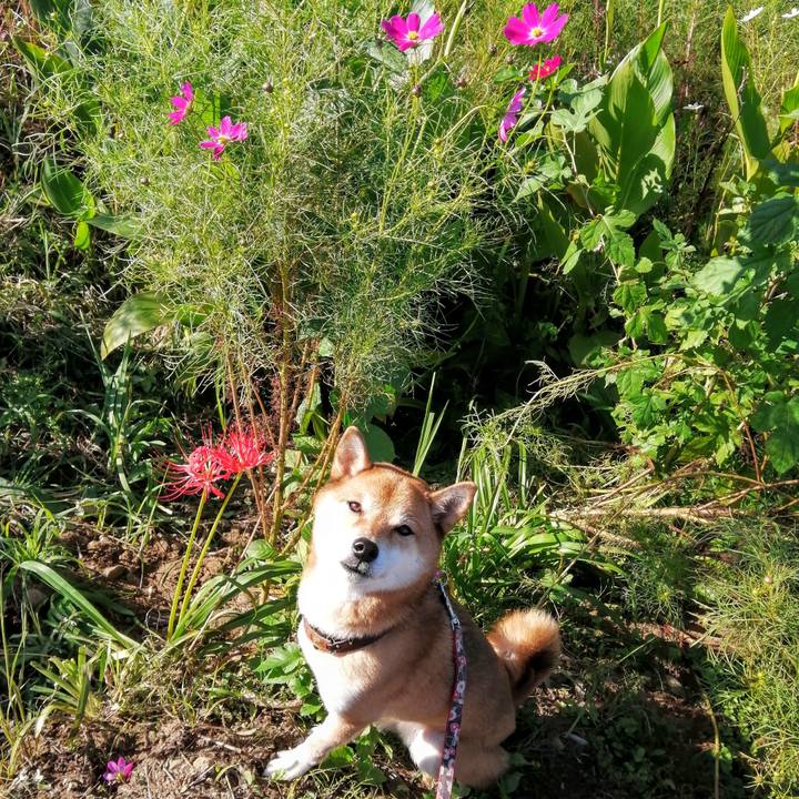 073d8838 ca96 4ca7 ad57 f2eef319cb60 1601424052088