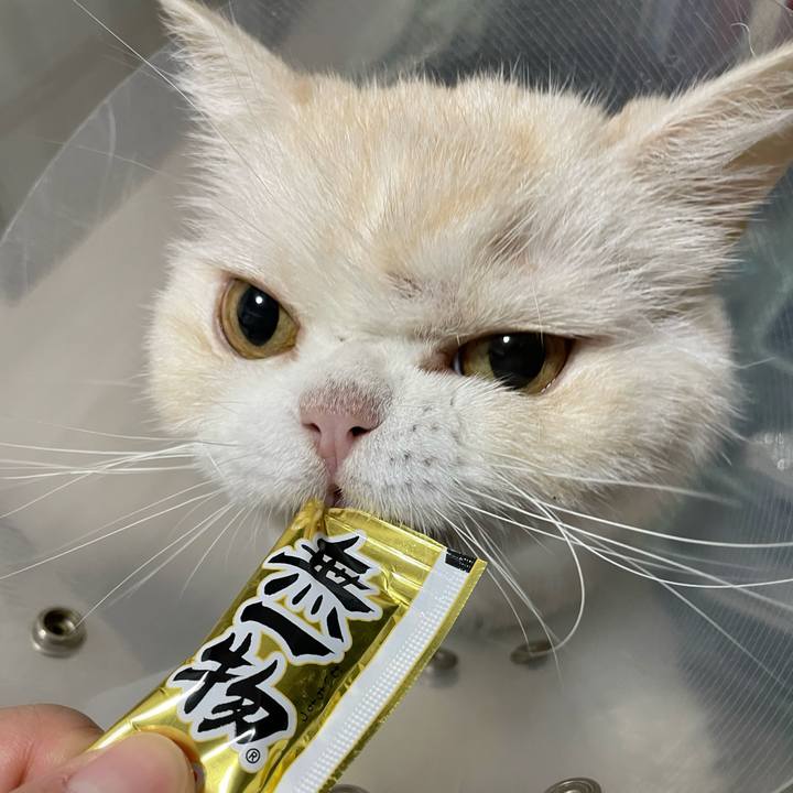 073dbbce d5bf 4e0b b8bb 1529b960da60 1761571376695