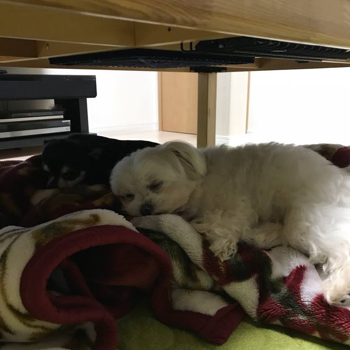 073dc458 baee 471c a67c 30d7851763c8 1524556547661