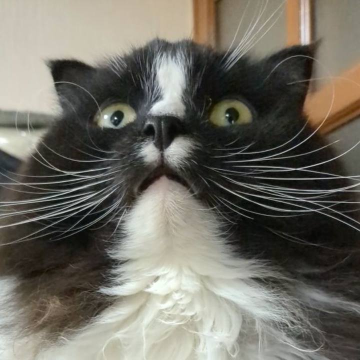 073e1f7d dd45 4a86 b3de 464ace0f0d17 1737030099533