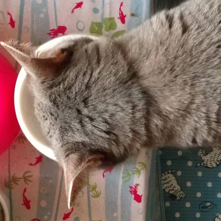 073e309a 77fc 4d7f bbb3 84541666b1fe 1634777364325