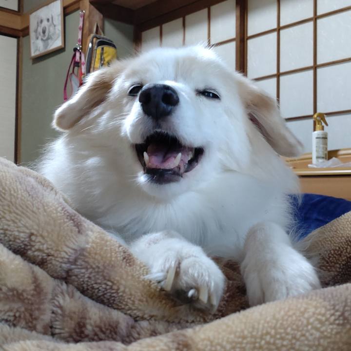 073e4bea 553a 4d2e bb99 b6d0b88d064b 1666494379168