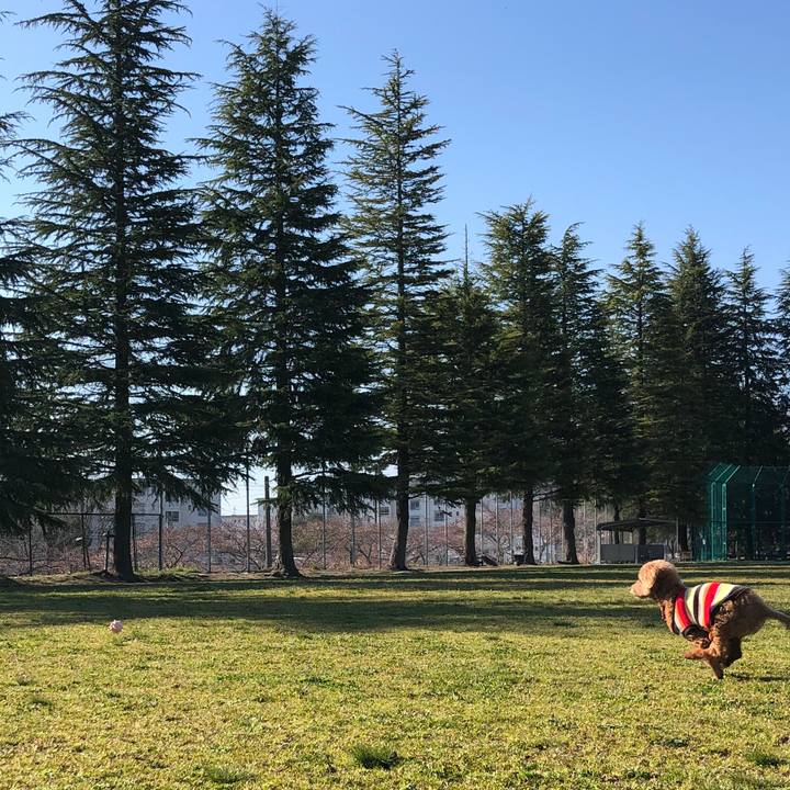 073e7962 ca23 4db1 a123 44e33b5d2305 1585890093238