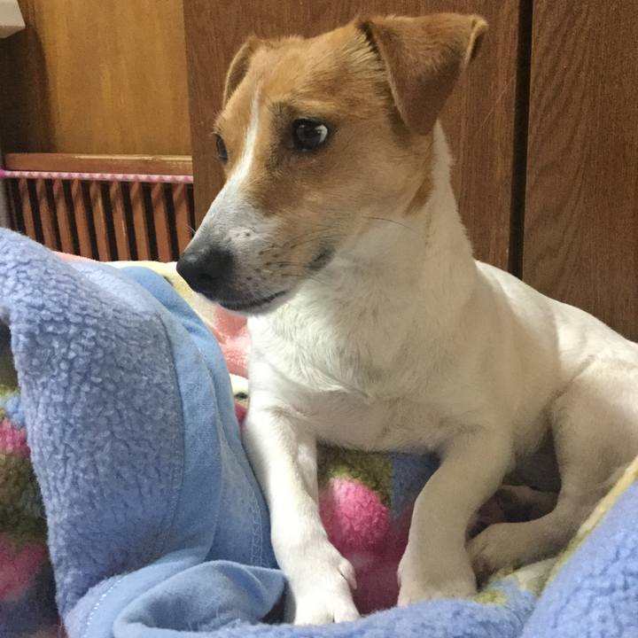 073e89e0 c6a9 4051 86af 4170f3ace9f5 1549671609096