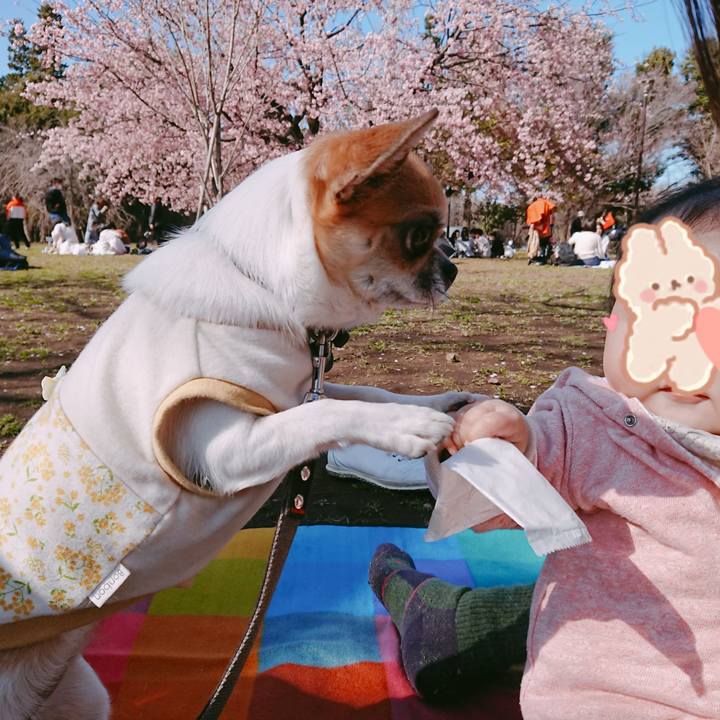 073ead89 9d8e 4142 ba84 822ad0bb4d96 1584099591498