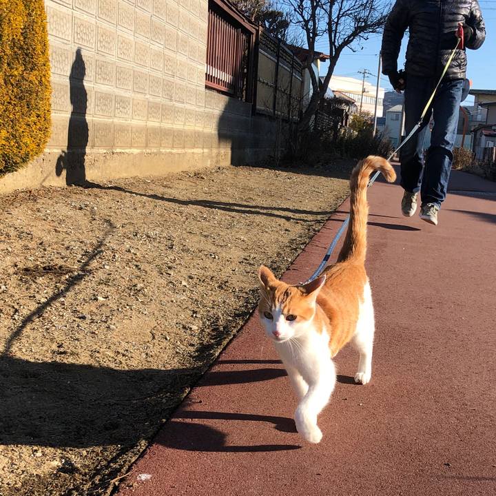 073eb876 183a 4356 be27 45e6c5bd5a36 1546338127322