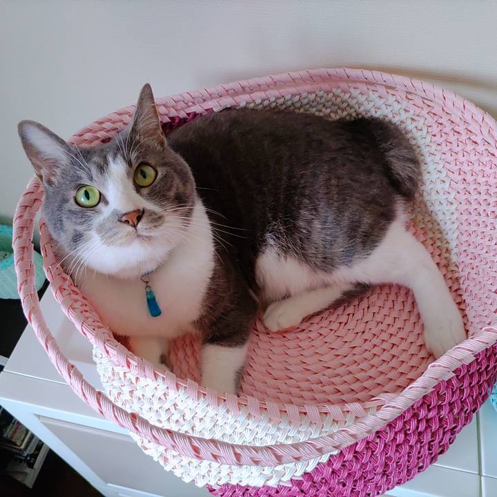 073ecf64 08c1 4e6c 8069 7adb4c867821 1654734248094