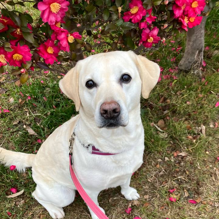 073ee8e3 fc17 4add b9a1 71bf8cc51840 1673782862654