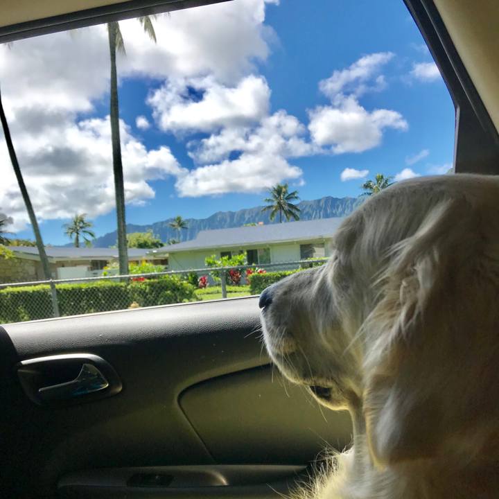 073f08f6 1723 41d9 94ed fcb739937dfd 1539580328456